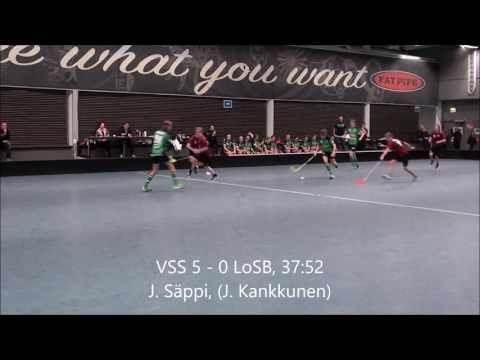 KOOSTE VSS LoSB 11 3 2017