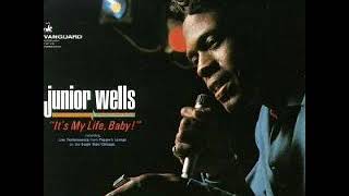 Junior Wells and Buddy Guy-(I Got A) Stomach Ache