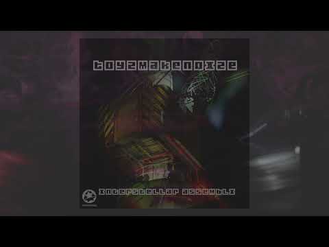 toyzmakenoize - interstellar assembly EP