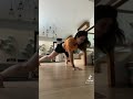 GISEL TIKTOK TERBARU Durasi Lebih 19 Detik Shorts