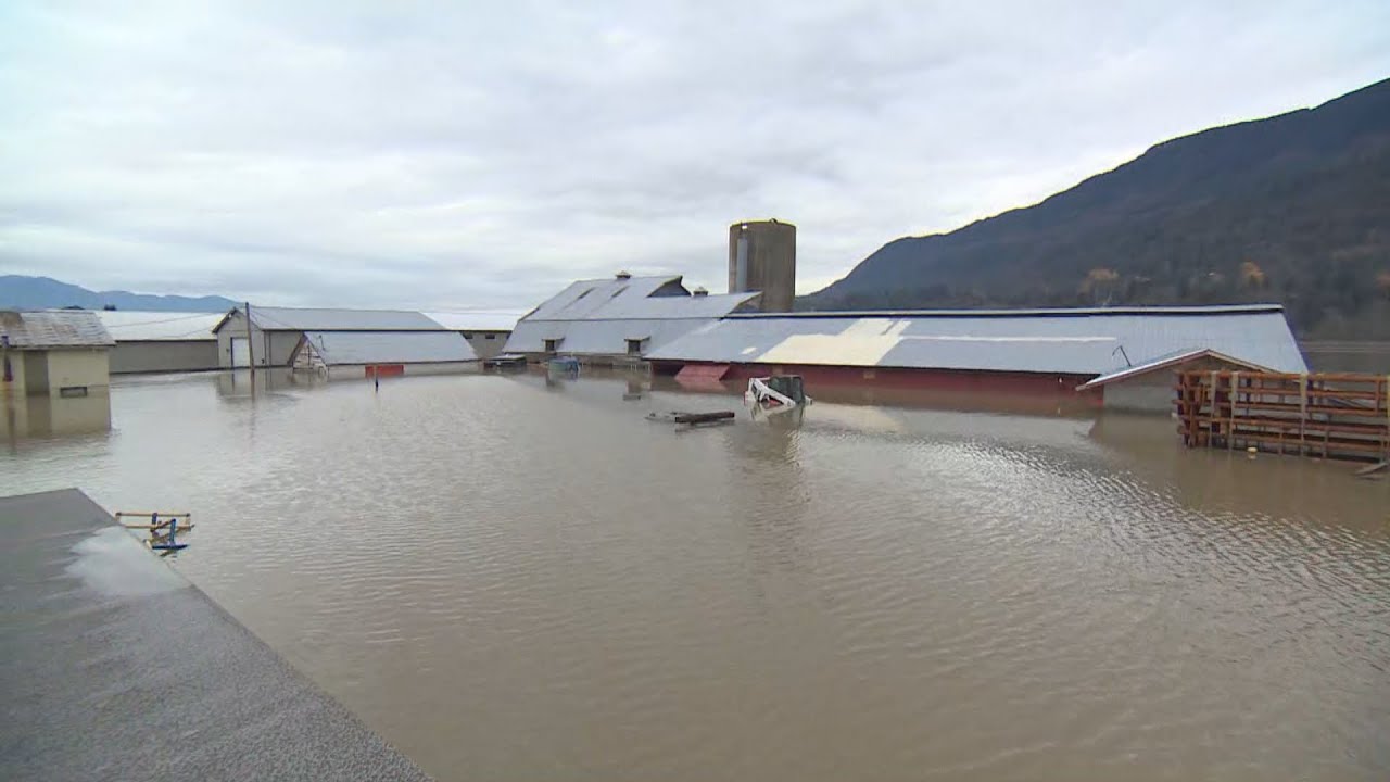 La semaine verte | Inondations de la prairie Sumas : un an après