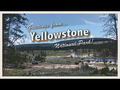 The Road Trip Home: Yellowstone National Park- Geysers and Bison and Waterfalls OH MY! (Part 7/?) WY