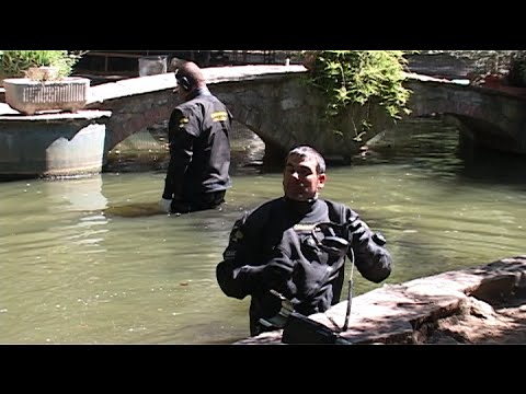 Omicidio in pineta, convalidato il fermo dell'accusato