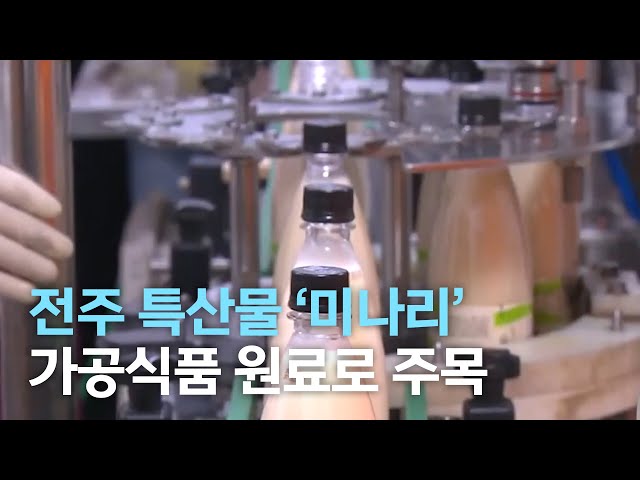 전주 특산물 미나리, 가공식품 원료로 주목