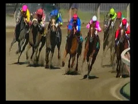 2013 Test Stakes - Sweet Lulu