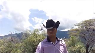 No comprendo - Los plebes del rancho