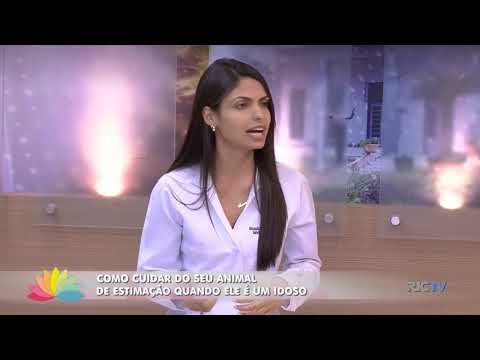 Entrevista Amanda Adriana animais idosos programa Ver Mais RIC Record