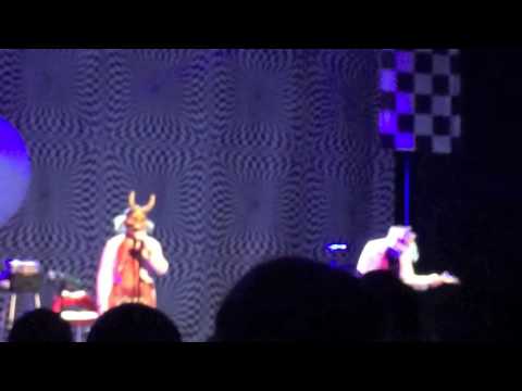 The Residents - Rabbit Habit - Live 4/24/16 New Haven CT