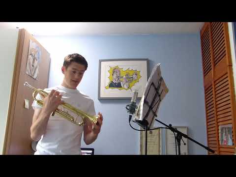 Weril ET 1071 Trumpet