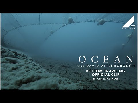 Thumbnail of the video: Bottom Trawling Official Clip