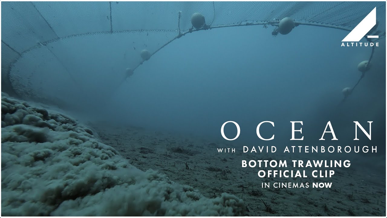 OCEAN WITH DAVID ATTENBOROUGH | BOTTOM TRAWLING OFFICIAL CLIP | IN CINEMAS NOW | Altitude Films - YouTube