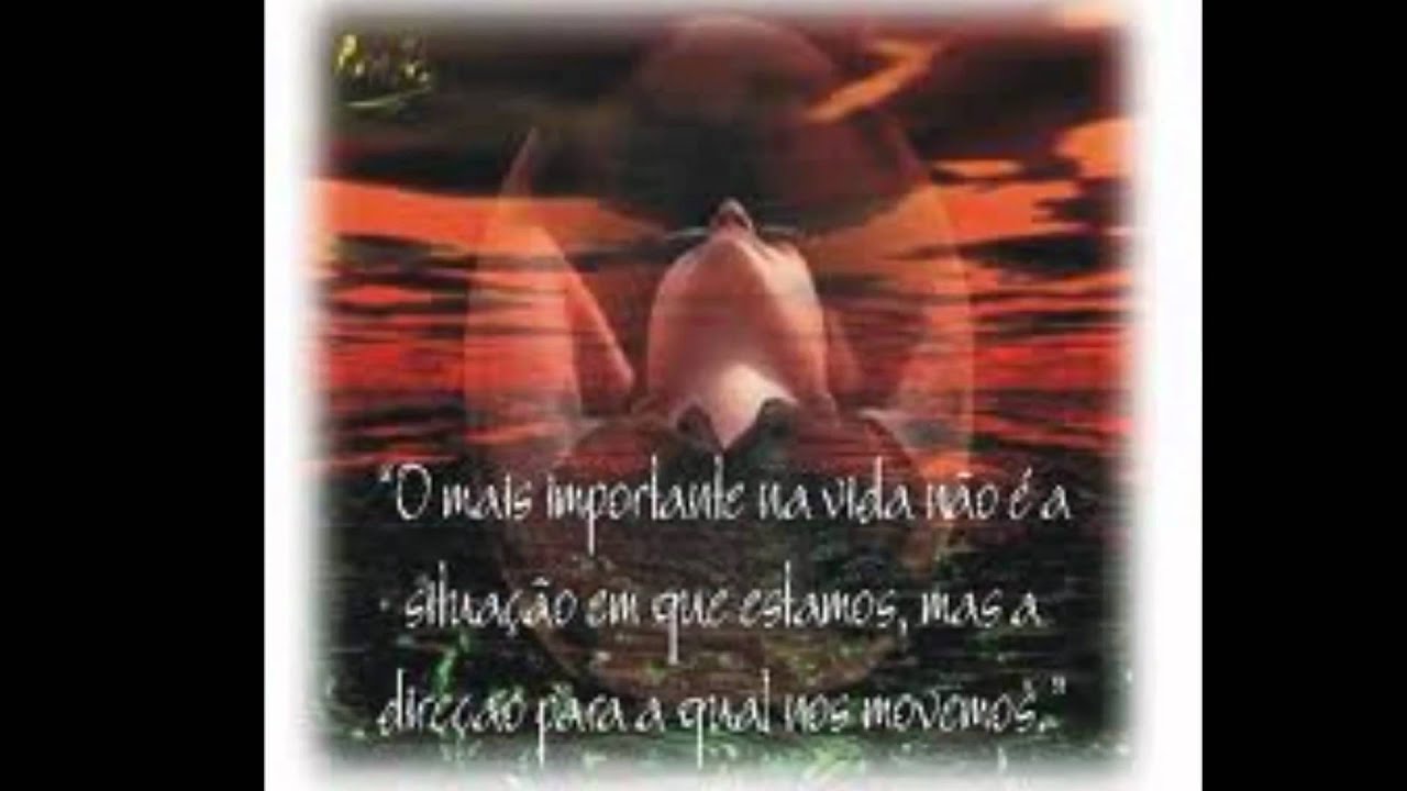 NADIE COMO TU PRESUNTOS IMPLICADOS