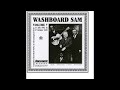 Washboard Sam – Ain't That A Shame