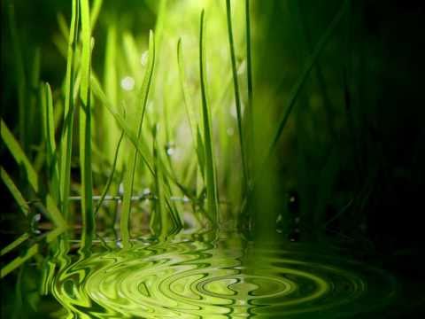 download lagu mp3 mp4 2007 Tor Lundvall The Seasons Unfold Sampler, download mp3 2007 Tor Lundvall The Seasons Unfold Sampler free download, download mp3 2007 Tor Lundvall The Seasons Unfold Sampler