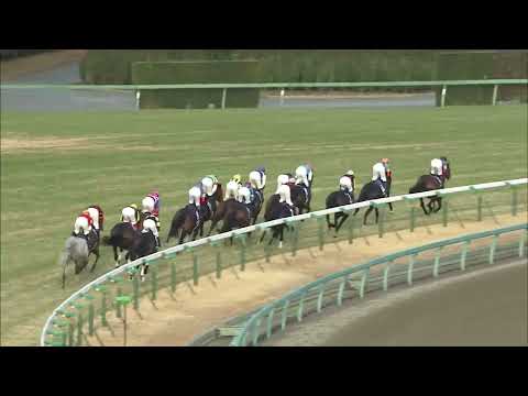 Gold Ship's 2012 Arima Kinen with BGM