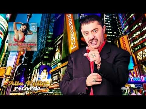 Nicolae Guta - Viata grea si amara HIT (official)