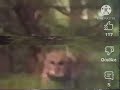 Mr Owl Tootsie Pop Commented 1997