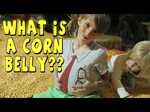 WHAT IS A CORN BELLY Video