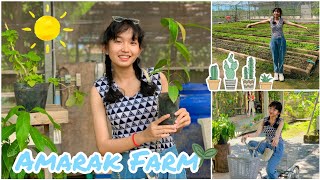[Eng Sub] កសិដ្ឋានអមរៈ🐰 | Amarak Farm's Vlog | Boranich-បូរ៉ានិច