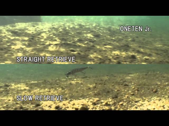 MEGABASS MOVIE #121 ONETEN Jr