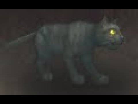 Eastern Kingdoms Safari: Cat Battle Pet, Elwynn Forest, WoW Retail