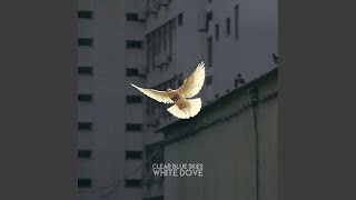 White Dove