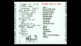 Peter Hammill - Shingle Song - Roma, Air Terminal Ostiense - 12 Feb 1998