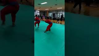 Download lagu SILAT CINGKRIK RAWA BELONG, Sanggar Si pitung. mp3