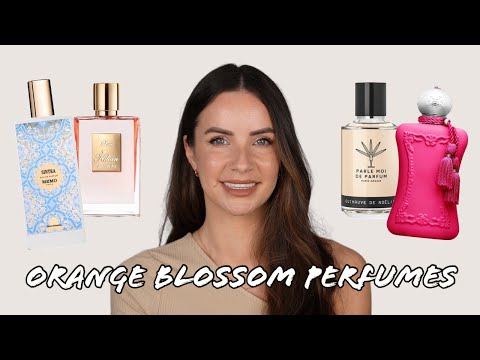 ORANGE BLOSSOM PERFUMES!! ✨Love Don't Be Shy, Libre Le, Oriana, Sintra & MORE!!