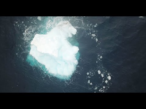 Náhled pro video reference
