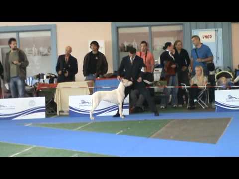 Lisa de Dona Arcelia - EDS2010