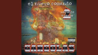 La Voz del Maliante song artwork