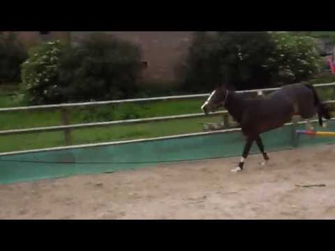 olympic fire stute  3j