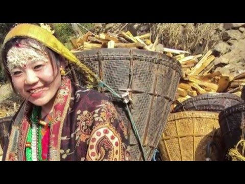 thunche ko bhari bisaudai 2016