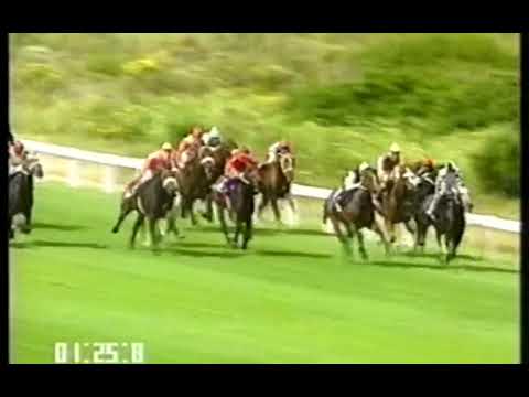 Arabian Lass Cape Fillies Guineus