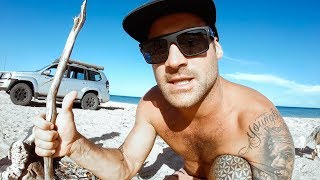 YBS Lifestyle Ep 49 - Spearfishing BIG Mackerel And Jobfish | Crazy Sharks | Catch And Cook