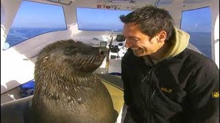 Dieter Nuhr in Namibia HD