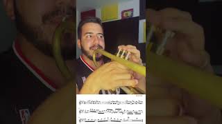 Brass - la gallera Juan Luis guerra #brass #music #viral