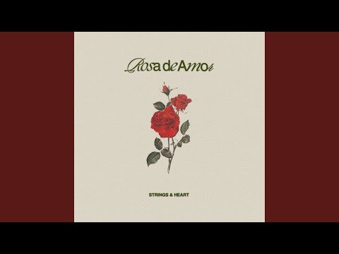 rosa de amor