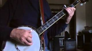 Blackberry Blossom Banjolina