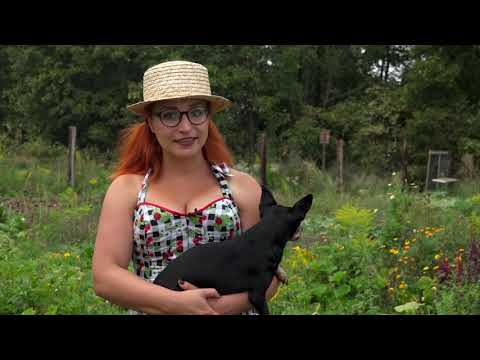 Zázemí pro komunitní zahradu Pastvina