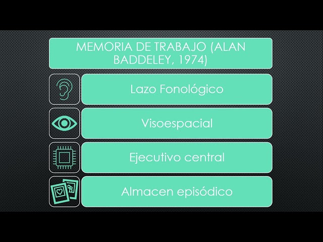 Vídeo relacionado con Memoria: Segunda edición, revisada y corregida (El libro universitario - Manuales)