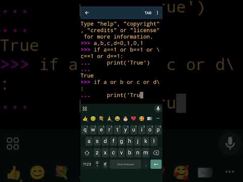 Python Flag Variables Decision Making