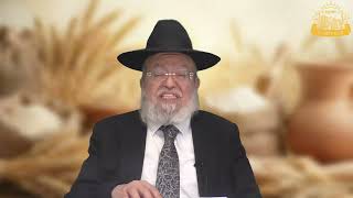 דף היומי בחצי שעה – מסכת מנחות דף פ”ט