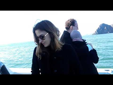 Lorenzo Lucchesi plays Accordion to scattering of Harold Levine's Ashes