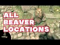 Dying Light The Beast All Beaver Locations Know What Castor Means Trophy Guide