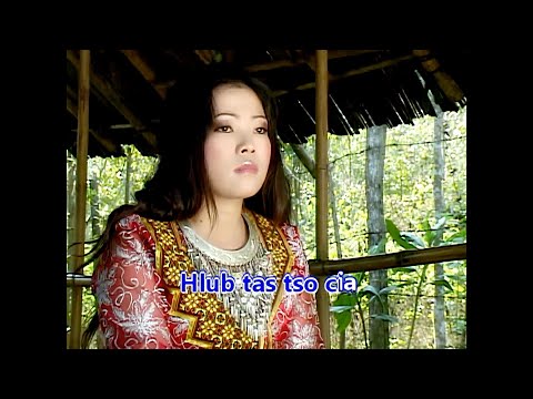 Dej Sab Si (Maiv Ntxawm Tsab) - Hlub Tau Tsam Yuav Tsis Tau - 2010