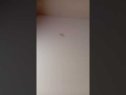 13 августа 2025 г.