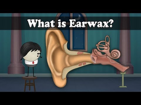 What is Earwax? | #aumsum #kids #science #education #children