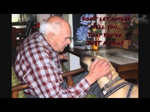 Tillykke med fødselsdagen Gucci